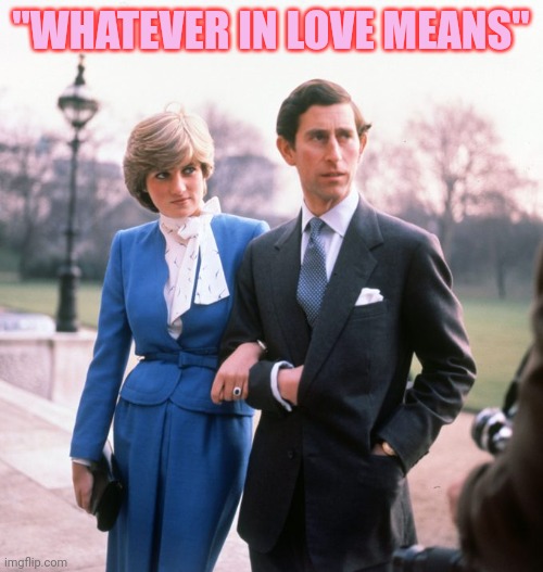 A future king once said | "WHATEVER IN LOVE MEANS" | image tagged in king,princess,quote | made w/ Imgflip meme maker