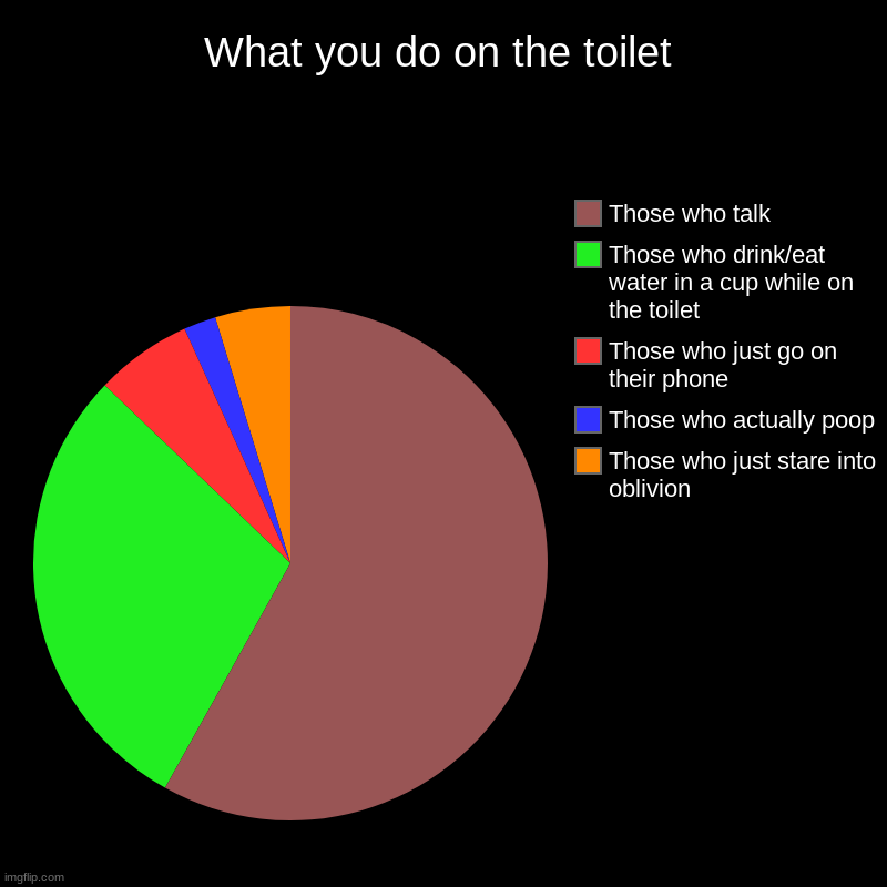 What you do on the toilet | What you do on the toilet | Those who just stare into oblivion, Those who actually poop, Those who just go on their phone, Those who drink/e | image tagged in charts,pie charts | made w/ Imgflip chart maker