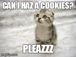 Cookies?! Can i haz one? | CAN I HAZ A COOKIES? PLEAZZZ | image tagged in memes,sad cat | made w/ Imgflip meme maker