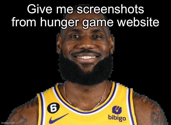 Lebron Jame | Give me screenshots from hunger game website | image tagged in lebron jame | made w/ Imgflip meme maker