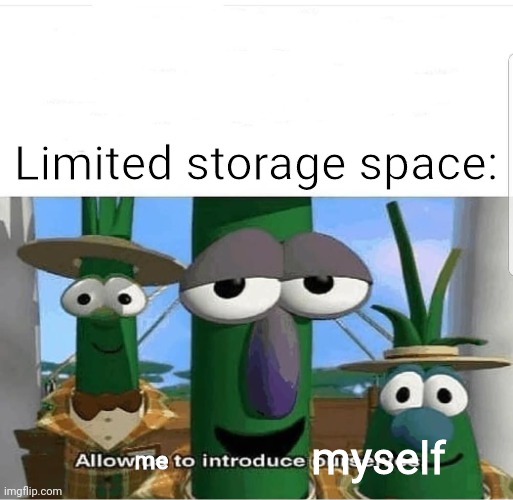 Allow us to introduce ourselves | me Limited storage space: myself | image tagged in allow us to introduce ourselves | made w/ Imgflip meme maker