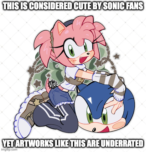 Sonic OC Character With Sonic Plush | THIS IS CONSIDERED CUTE BY SONIC FANS; YET ARTWORKS LIKE THIS ARE UNDERRATED | image tagged in sonic the hedgehog,memes | made w/ Imgflip meme maker