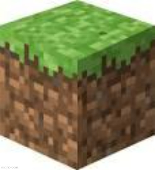 Minecraft Logic | image tagged in minecraft logic | made w/ Imgflip meme maker