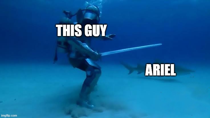 The Crusade Knows no bounds | ARIEL THIS GUY | image tagged in the crusade knows no bounds | made w/ Imgflip meme maker