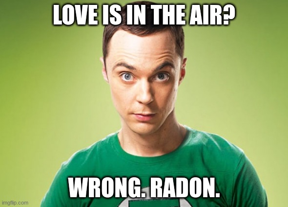 Sheldon Cooper | LOVE IS IN THE AIR? WRONG. RADON. | image tagged in sheldon cooper | made w/ Imgflip meme maker