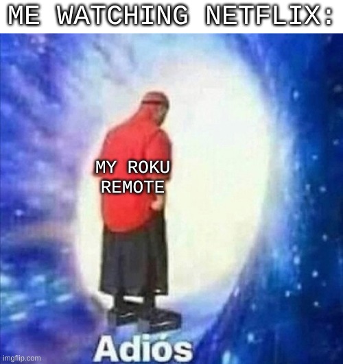 travels to the 6th dimension | ME WATCHING NETFLIX:; MY ROKU REMOTE | image tagged in adios | made w/ Imgflip meme maker