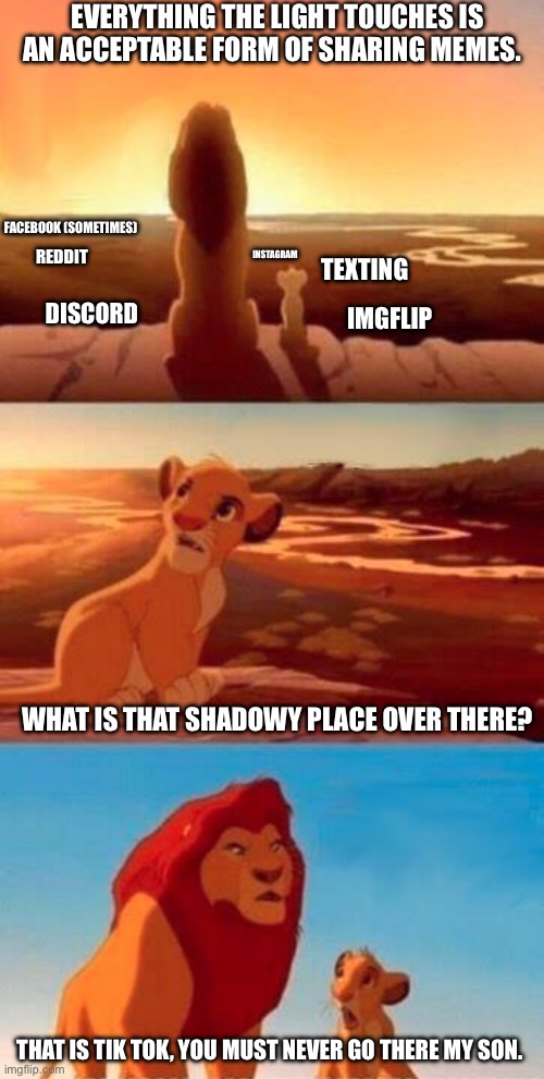 Lion King | EVERYTHING THE LIGHT TOUCHES IS AN ACCEPTABLE FORM OF SHARING MEMES. FACEBOOK (SOMETIMES); INSTAGRAM; REDDIT; TEXTING; DISCORD; IMGFLIP; WHAT IS THAT SHADOWY PLACE OVER THERE? THAT IS TIK TOK, YOU MUST NEVER GO THERE MY SON. | image tagged in lion king | made w/ Imgflip meme maker