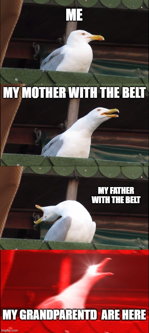 haha checkmat | ME; MY MOTHER WITH THE BELT; MY FATHER WITH THE BELT; MY GRANDPARENTD  ARE HERE | image tagged in memes,inhaling seagull | made w/ Imgflip meme maker