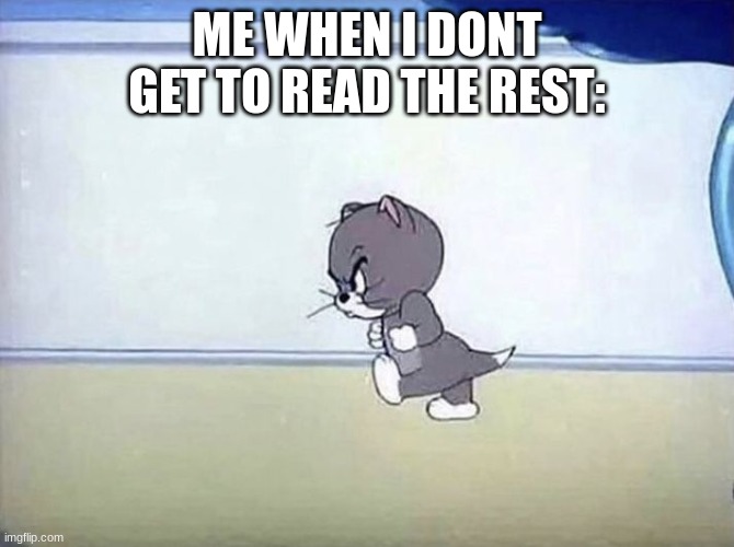 Angry cat tom and jerry | ME WHEN I DONT GET TO READ THE REST: | image tagged in angry cat tom and jerry | made w/ Imgflip meme maker