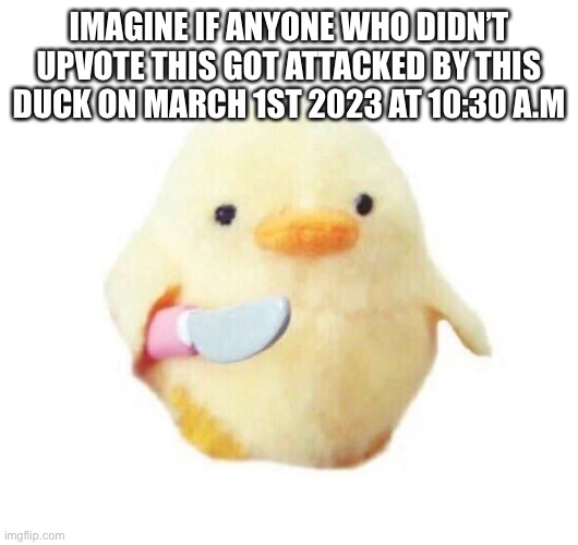 Duck with knife | IMAGINE IF ANYONE WHO DIDN’T UPVOTE THIS GOT ATTACKED BY THIS DUCK ON MARCH 1ST 2023 AT 10:30 A.M | image tagged in duck with knife | made w/ Imgflip meme maker