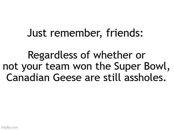 Yup | Just remember, friends:; Regardless of whether or not your team won the Super Bowl, Canadian Geese are still assholes. | image tagged in superbowl,geese,nature,funny memes | made w/ Imgflip meme maker