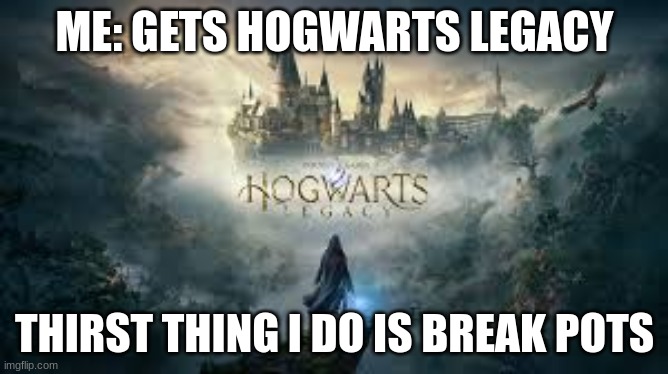 hugwerts | ME: GETS HOGWARTS LEGACY; THIRST THING I DO IS BREAK POTS | image tagged in hogwarts,videogames | made w/ Imgflip meme maker