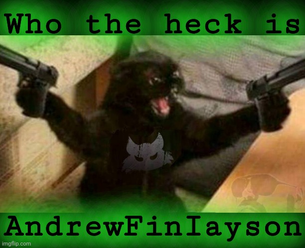 Cat With Guns | Who the heck is AndrewFinIayson | image tagged in cat with guns | made w/ Imgflip meme maker