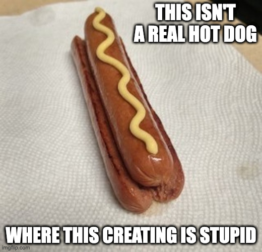 Hot Dog on a Hot Dog | THIS ISN'T A REAL HOT DOG; WHERE THIS CREATING IS STUPID | image tagged in food,hot dog,memes | made w/ Imgflip meme maker
