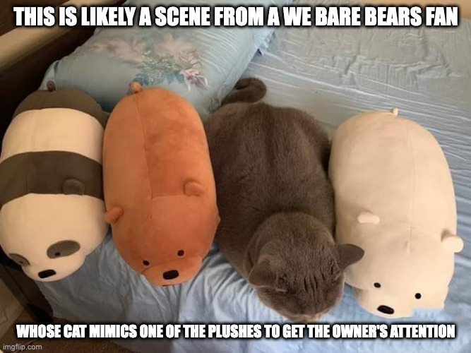 Cat Between We Bare Bears Plushes | THIS IS LIKELY A SCENE FROM A WE BARE BEARS FAN; WHOSE CAT MIMICS ONE OF THE PLUSHES TO GET THE OWNER'S ATTENTION | image tagged in plush,we bare bears,cats,memes | made w/ Imgflip meme maker