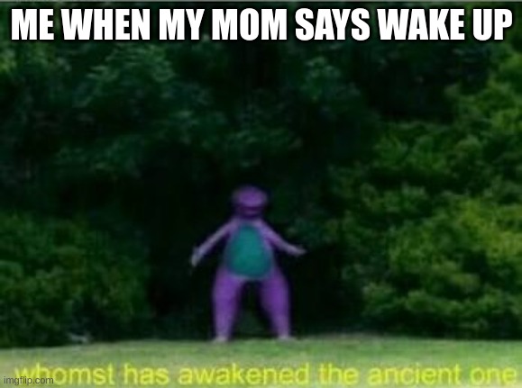 its so annoying | ME WHEN MY MOM SAYS WAKE UP | image tagged in whomst has awakened the ancient one | made w/ Imgflip meme maker