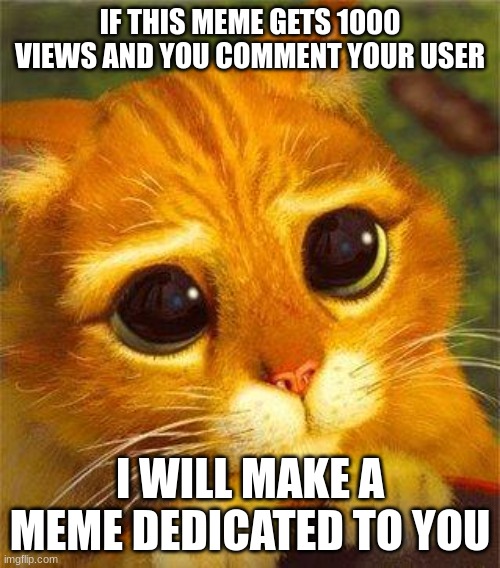 Beggin Puss | IF THIS MEME GETS 1000 VIEWS AND YOU COMMENT YOUR USER; I WILL MAKE A MEME DEDICATED TO YOU | image tagged in beggin puss | made w/ Imgflip meme maker
