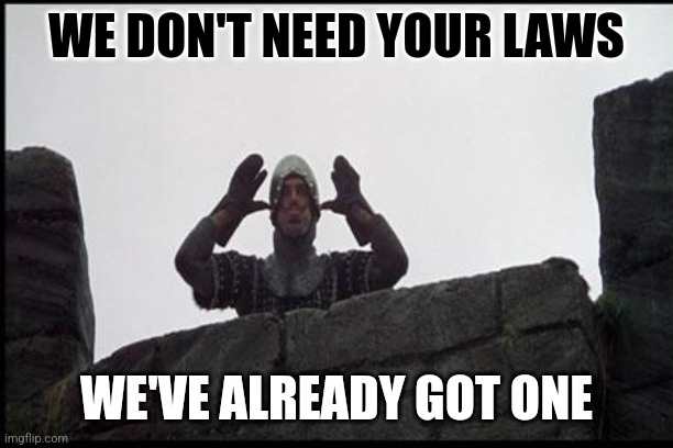 French Taunting in Monty Python's Holy Grail | WE DON'T NEED YOUR LAWS WE'VE ALREADY GOT ONE | image tagged in french taunting in monty python's holy grail | made w/ Imgflip meme maker