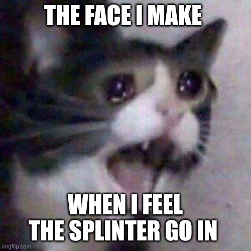 Splinters be painful!!!! | THE FACE I MAKE; WHEN I FEEL THE SPLINTER GO IN | image tagged in cat screaming | made w/ Imgflip meme maker