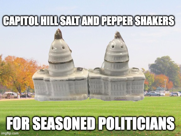 CAPITOL HILL SALT AND PEPPER SHAKERS; FOR SEASONED POLITICIANS | image tagged in capitol hill,pun | made w/ Imgflip meme maker