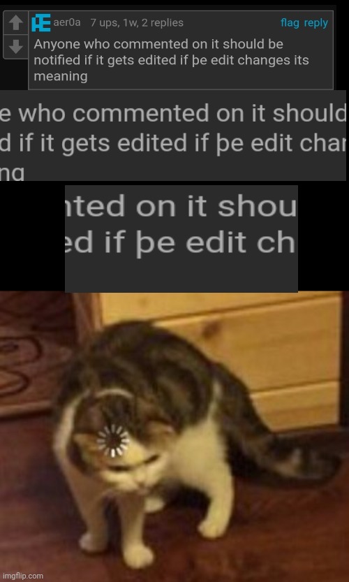 Loading cat | image tagged in loading cat | made w/ Imgflip meme maker