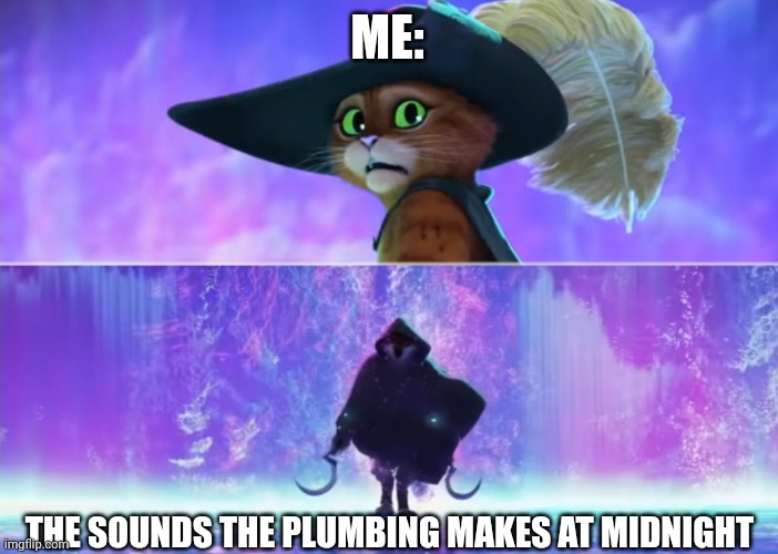 The sounds my plumbing makes at midnight | ME:; THE SOUNDS THE PLUMBING MAKES AT MIDNIGHT | image tagged in puss and boots scared | made w/ Imgflip meme maker
