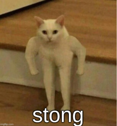 Stong cat Blank Meme Template