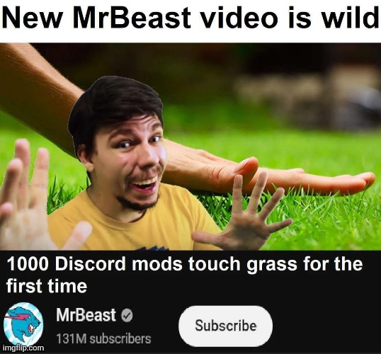 1000 discord mods | image tagged in mrbeast | made w/ Imgflip meme maker