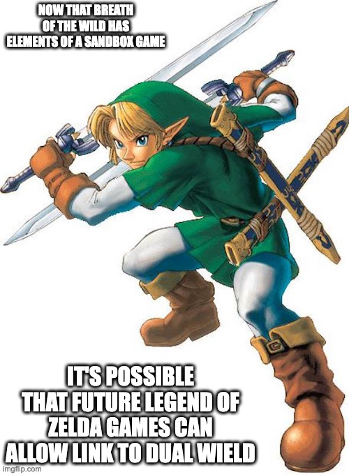 Link WIth Dual Master Sword | NOW THAT BREATH OF THE WILD HAS ELEMENTS OF A SANDBOX GAME; IT'S POSSIBLE THAT FUTURE LEGEND OF ZELDA GAMES CAN ALLOW LINK TO DUAL WIELD | image tagged in legend of zelda,gaming,link,memes | made w/ Imgflip meme maker
