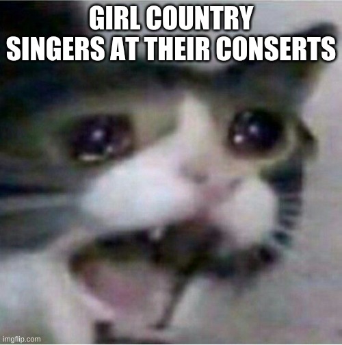 crying cat | GIRL COUNTRY SINGERS AT THEIR CONSERTS | image tagged in crying cat | made w/ Imgflip meme maker