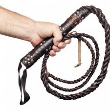 High Quality Whip Blank Meme Template