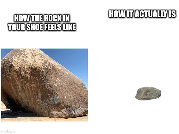 Facts | HOW IT ACTUALLY IS; HOW THE ROCK IN YOUR SHOE FEELS LIKE | image tagged in rock,tiny rock,big rock | made w/ Imgflip meme maker