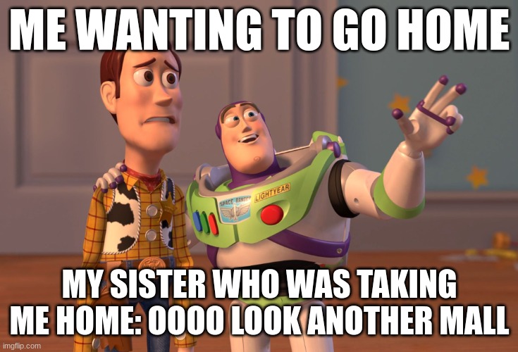 i wanna go home | ME WANTING TO GO HOME; MY SISTER WHO WAS TAKING ME HOME: OOOO LOOK ANOTHER MALL | image tagged in memes,x x everywhere | made w/ Imgflip meme maker