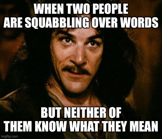 Inigo Montoya Meme | WHEN TWO PEOPLE ARE SQUABBLING OVER WORDS BUT NEITHER OF THEM KNOW WHAT THEY MEAN | image tagged in memes,inigo montoya | made w/ Imgflip meme maker
