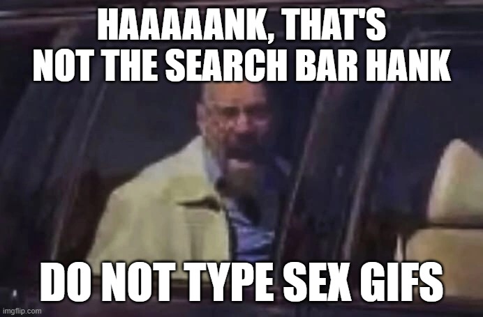 sex gifs | HAAAAANK, THAT'S NOT THE SEARCH BAR HANK; DO NOT TYPE SEX GIFS | image tagged in haaank | made w/ Imgflip meme maker