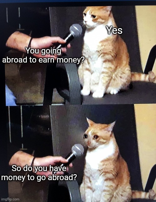 T_T | Yes; You going abroad to earn money? So do you have money to go abroad? | image tagged in cat interview crying | made w/ Imgflip meme maker