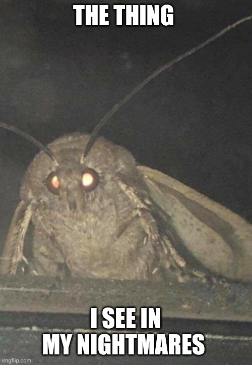 The thing I see in my nightmares | THE THING; I SEE IN MY NIGHTMARES | image tagged in moth | made w/ Imgflip meme maker
