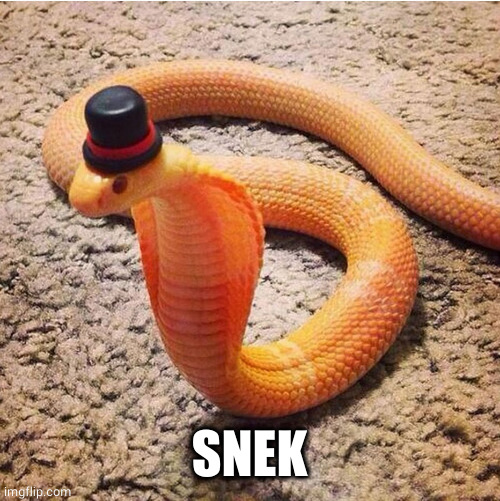 Dapper Snek | SNEK | image tagged in dapper snek | made w/ Imgflip meme maker