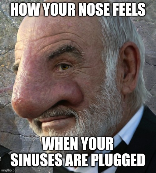 What is the use of a nose when its constantly sealed airtight from allergies???!!? | HOW YOUR NOSE FEELS; WHEN YOUR SINUSES ARE PLUGGED | image tagged in nose,allergies,its time to stop,useless | made w/ Imgflip meme maker