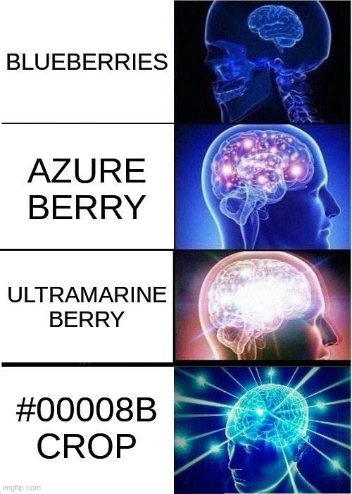 B E R R Y | BLUEBERRIES; AZURE BERRY; ULTRAMARINE BERRY; #00008B CROP | image tagged in memes,expanding brain,berries,funny,lmao | made w/ Imgflip meme maker