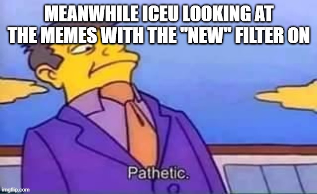 skinner pathetic | MEANWHILE ICEU LOOKING AT THE MEMES WITH THE "NEW" FILTER ON | image tagged in skinner pathetic | made w/ Imgflip meme maker