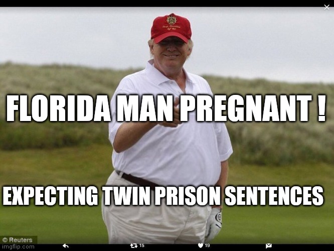 Tiny hands or pregnant paws | FLORIDA MAN PREGNANT ! EXPECTING TWIN PRISON SENTENCES | image tagged in fat donald trump,pregnant | made w/ Imgflip meme maker
