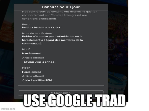 ??? she was griefing a russia flag ? | USE GOOGLE TRAD | image tagged in banned from roblox | made w/ Imgflip meme maker