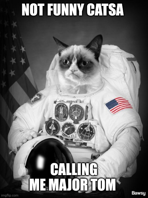 Grumpy Spacecat | NOT FUNNY CATSA; CALLING ME MAJOR TOM | image tagged in grumpy spacecat | made w/ Imgflip meme maker