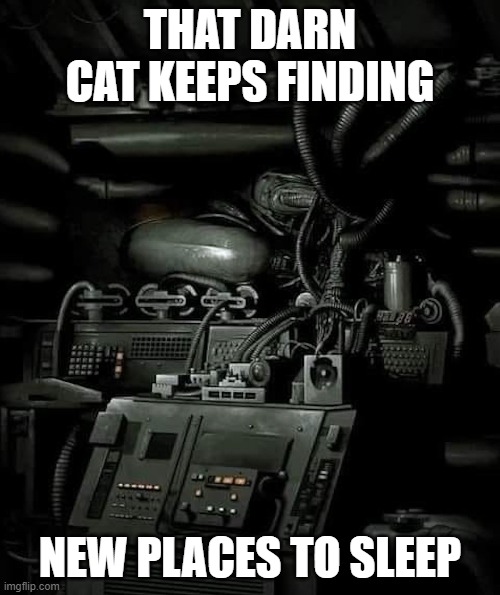 Let Sleeping Cats Sleep - Because, in Space, No One Can Hear You Scream |  THAT DARN CAT KEEPS FINDING; NEW PLACES TO SLEEP | image tagged in sleeping cats,cats,sleep,alien,scream,space | made w/ Imgflip meme maker
