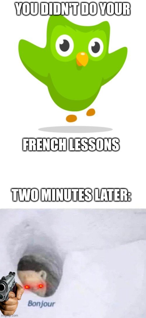 Triolingo | YOU DIDN'T DO YOUR; FRENCH LESSONS; TWO MINUTES LATER: | image tagged in things duolingo teaches you,bonjour | made w/ Imgflip meme maker