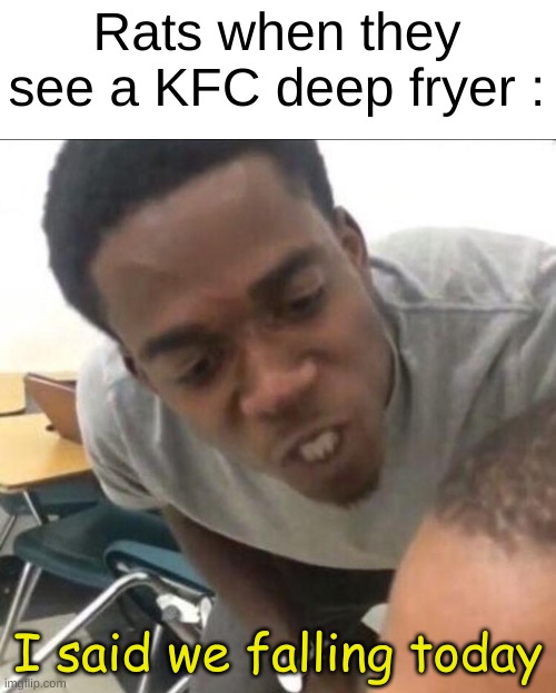 Rats | Rats when they see a KFC deep fryer :; I said we falling today | image tagged in i said we sad today | made w/ Imgflip meme maker