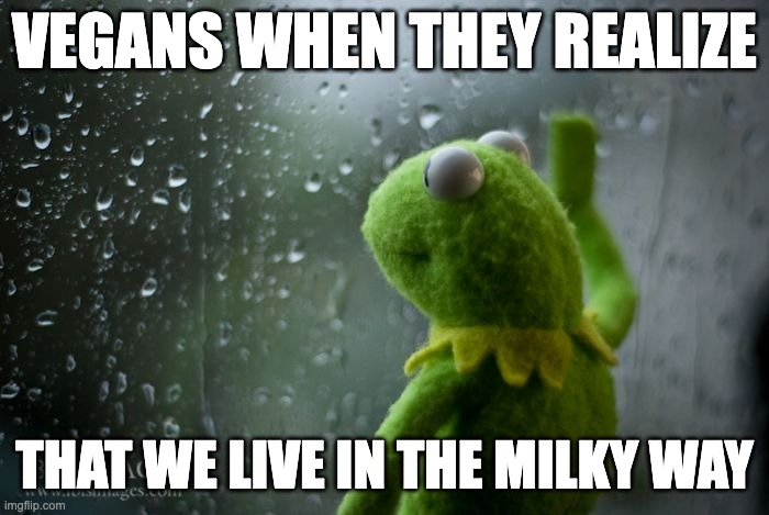 kermit window | VEGANS WHEN THEY REALIZE; THAT WE LIVE IN THE MILKY WAY | image tagged in kermit window | made w/ Imgflip meme maker