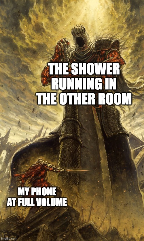 Yhorm Dark Souls | THE SHOWER RUNNING IN THE OTHER ROOM; MY PHONE AT FULL VOLUME | image tagged in yhorm dark souls | made w/ Imgflip meme maker