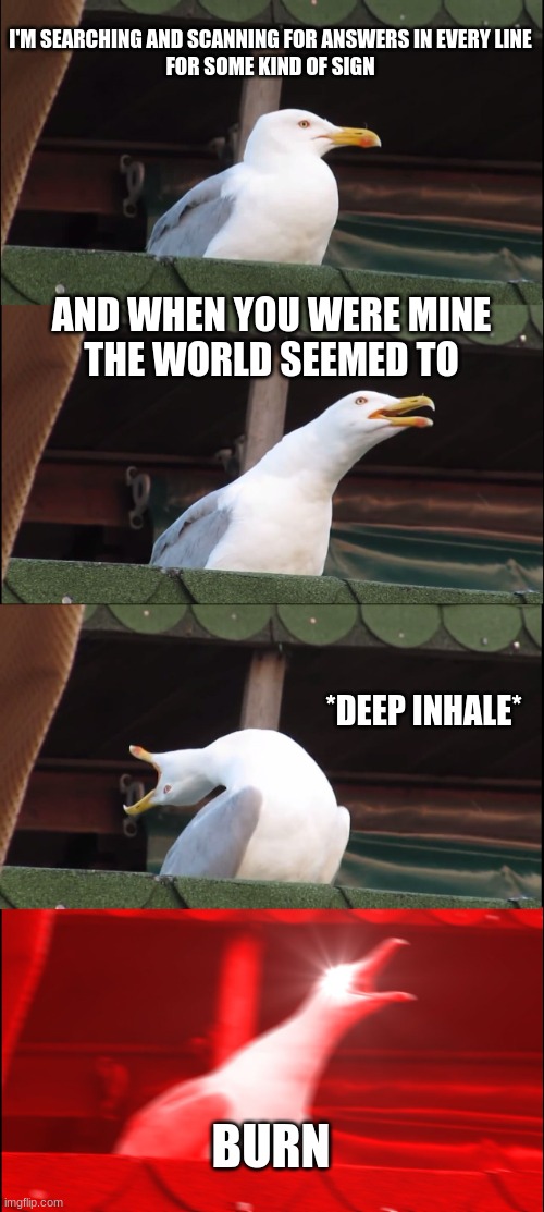 Hamilton BURN | I'M SEARCHING AND SCANNING FOR ANSWERS IN EVERY LINE
FOR SOME KIND OF SIGN; AND WHEN YOU WERE MINE
THE WORLD SEEMED TO; *DEEP INHALE*; BURN | image tagged in memes,inhaling seagull | made w/ Imgflip meme maker